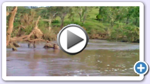 flood-2011